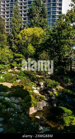 Los Angeles, États-Unis. 27 juillet 2024. Le jardin japonais James Irvine à Little Tokyo, Los Angeles, Californie. Crédit : Stu Gray/Alamy Live News. Banque D'Images