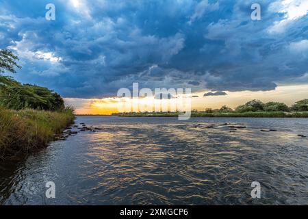 Paysage sur les rives de la rivière Okavango dans le nord de la Namibie Banque D'Images