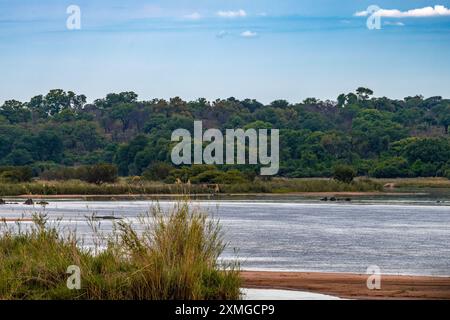 Paysage sur les rives de la rivière Okavango dans le nord de la Namibie Banque D'Images