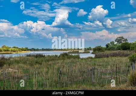 Paysage sur les rives de la rivière Okavango dans le nord de la Namibie Banque D'Images