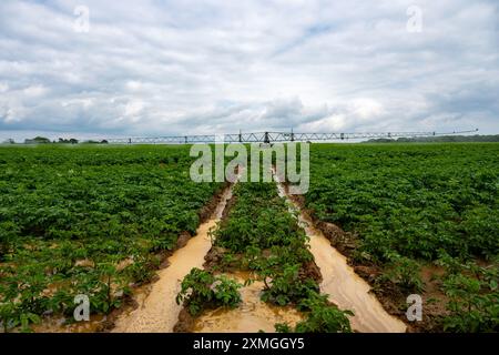 Système d'irrigation automoteur Briggs Banque D'Images