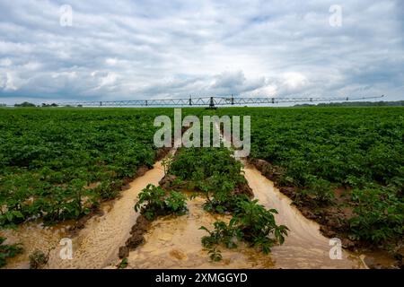 Système d'irrigation automoteur Briggs Banque D'Images