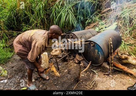 Kibuga, OUGANDA - 13 MARS 2020 : distillerie rurale d'alcool de bananes près du village de Kibuga dans la région des lacs de cratère près de Fort Portal, Ouganda Banque D'Images