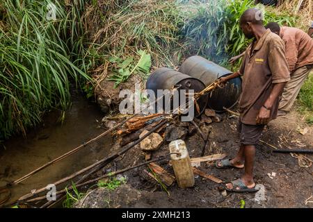 Kibuga, OUGANDA - 13 MARS 2020 : distillerie rurale d'alcool de bananes près du village de Kibuga dans la région des lacs de cratère près de Fort Portal, Ouganda Banque D'Images