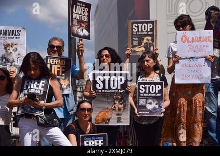 Londres, Royaume-Uni. 28 juillet 2024. Les manifestants tiennent des pancartes pour soutenir les errants pendant la manifestation. Les manifestants se sont rassemblés à Piccadilly Circus contre la nouvelle loi proposée en Turquie pour réglementer les animaux errants qui, selon les manifestants, conduirait à la mort de millions de chiens et de chats errants. Crédit : SOPA images Limited/Alamy Live News Banque D'Images