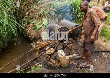 Kibuga, OUGANDA - 13 MARS 2020 : distillerie rurale d'alcool de bananes près du village de Kibuga dans la région des lacs de cratère près de Fort Portal, Ouganda Banque D'Images