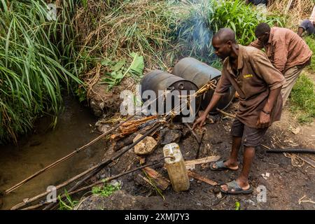 Kibuga, OUGANDA - 13 MARS 2020 : distillerie rurale d'alcool de bananes près du village de Kibuga dans la région des lacs de cratère près de Fort Portal, Ouganda Banque D'Images