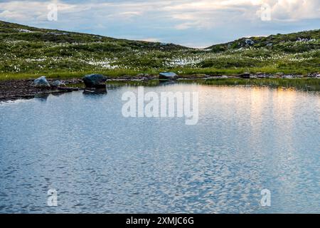 Lac pittoresque sur l'île de Runde dans l'archipel de Sørøyane, Herøy, Norvège Banque D'Images