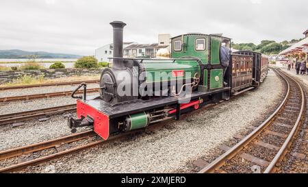 Le Welsh Highland Railway est un chemin de fer à voie étroite qui s'étend sur 40 miles à travers le glorieux parc national de Snowdonia au pays de Galles. Voici Lilla. Banque D'Images