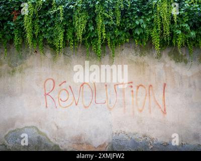 le mot revolution en rouge sur le mur de béton gris sous les plantes et le lierre Banque D'Images