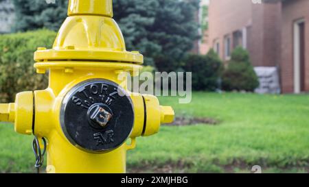 Toronto, Canada - 07 01 2018 : une bouche d'incendie jaune Super Centurion 250 fabriquée par Mueller Water Products Company devant une pelouse avec vert Banque D'Images