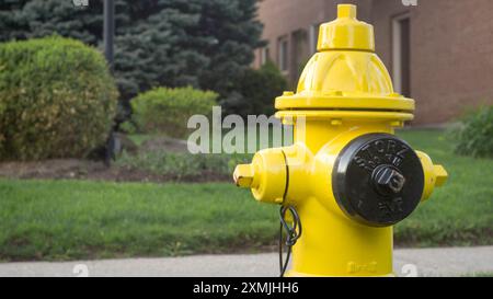 Toronto, Canada - 07 01 2018 : une bouche d'incendie jaune Super Centurion 250 fabriquée par Mueller Water Products Company devant une pelouse avec vert Banque D'Images