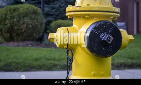 Toronto, Canada - 07 01 2018 : une bouche d'incendie jaune Super Centurion 250 fabriquée par Mueller Water Products Company devant une pelouse avec vert Banque D'Images