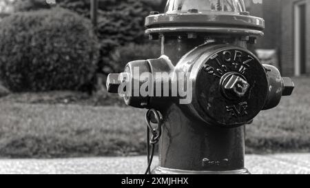 Toronto, Canada - 07 01 2018 : une bouche d'incendie jaune Super Centurion 250 fabriquée par Mueller Water Products Company devant une pelouse avec vert Banque D'Images