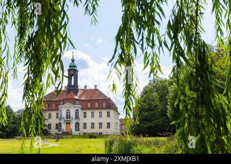 Reinhardsgrimma Das Schloss Reinhardtsgrimma ist ein barockes Schloss im Ortsteil Reinhardtsgrimma der Stadt Glashütte im Landkreis Sächsische Schweiz-Osterzgebirge in Saxe. Reinhardtsgrimma Sachsen Deutschland *** Reinhardsgrimma le château de Reinhardtsgrimma est un château baroque situé dans le district de Reinhardtsgrimma de la ville de Glashütte dans le district de Suisse saxonne montagnes de minerai orientales en Saxe Reinhardtsgrimma Saxe Allemagne Banque D'Images