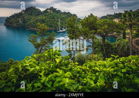 Destination de vacances et de voyage célèbre en Ligurie. Vue imprenable avec des bateaux de luxe et des yachts dans la baie pittoresque, Portofino, Ligurie, Italie, Europ Banque D'Images