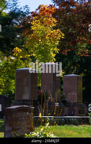 Cimetière national du Canada pendant la saison d'automne couleurs. Cimetière Beechwood, Ottawa, Ontario, Canada. Cimetière national du Canada durant la saison Banque D'Images