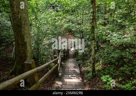 Sateseles Kanjons est une zone naturelle pittoresque située à Sigulda, en Lettonie. Il dispose d'un sentier naturel bien entretenu qui mène les visiteurs du Satesel Banque D'Images