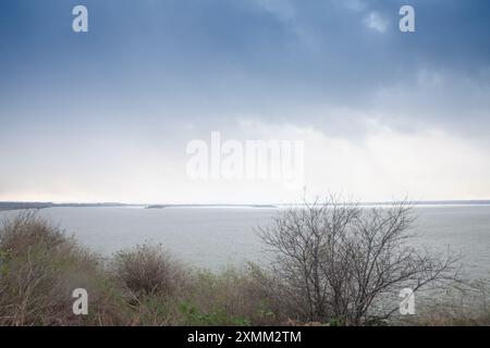Cette photographie capture une vue panoramique du Danube en Serbie pendant la saison hivernale. Le ciel couvert projette une lumière douce et diffuse au-dessus de t Banque D'Images
