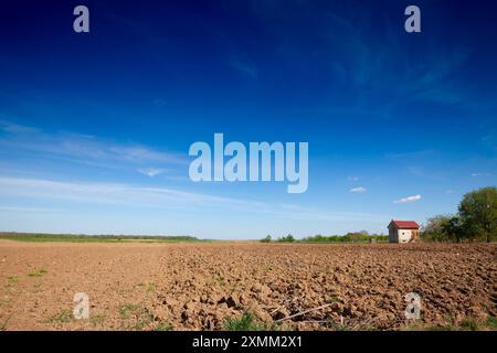 Image d'un champ labouré avec des sillons sur un après-midi ensoleillé avec le ciel bleu en serbie, à berkasovo, debout à côté d'un champ d'herbe Un large panoramique v Banque D'Images