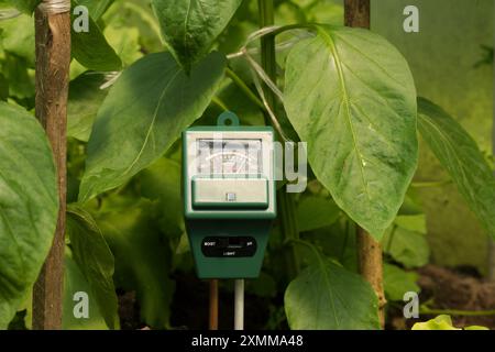 Plantes vertes et pH mètre à trois voies, lumière et humidité dans le sol. Concept d'agriculture de haute technologie Banque D'Images