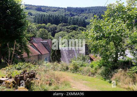 Hameau et habitat construits en granit sur sous-sol granitique dans la campagne du département de la creuse dans la région Limousin du centre de la France. Creuse, l Banque D'Images