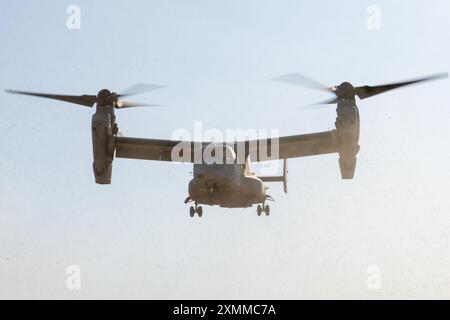 U.S. Marines avec Marine Medium Tiltrotor Squadron 268 (renforcé), Marine Rotational Force – Darwin 24.3, décollage dans un MV-22B Osprey aux côtés de pilotes de la Marine italienne dans un hélicoptère NH-90 pour une formation bilatérale dans le cadre d'une sortie d'entraînement pendant l'exercice Pitch Black 24 à Mount Bundey Training Area, territoire du Nord, Australie, 22 juillet 2024. L’exercice Pitch Black 24 est le plus important des 43 ans d’histoire de l’exercice et rassemble 20 pays participants, plus de 140 avions du monde entier et plus de 4 000 membres du personnel. Exercise Pitch Black 24 permet à MRF-d 24.3 Aviation combat Element, VM Banque D'Images