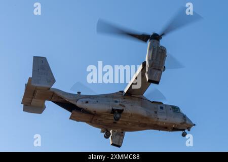 U.S. Marines avec Marine Medium Tiltrotor Squadron 268 (renforcé), Marine Rotational Force – Darwin 24.3, décollage dans un MV-22B Osprey aux côtés de pilotes de la Marine italienne dans un hélicoptère NH-90 pour une formation bilatérale dans le cadre d'une sortie d'entraînement pendant l'exercice Pitch Black 24 à Mount Bundey Training Area, territoire du Nord, Australie, 22 juillet 2024. L’exercice Pitch Black 24 est le plus important des 43 ans d’histoire de l’exercice et rassemble 20 pays participants, plus de 140 avions du monde entier et plus de 4 000 membres du personnel. Exercise Pitch Black 24 permet à MRF-d 24.3 Aviation combat Element, VM Banque D'Images