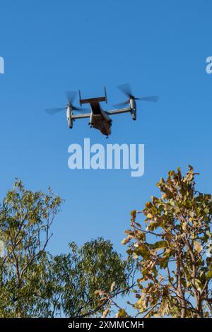 U.S. Marines avec Marine Medium Tiltrotor Squadron 268 (renforcé), Marine Rotational Force – Darwin 24.3, décollage dans un MV-22B Osprey aux côtés de pilotes de la Marine italienne dans un hélicoptère NH-90 pour une formation bilatérale dans le cadre d'une sortie d'entraînement pendant l'exercice Pitch Black 24 à Mount Bundey Training Area, territoire du Nord, Australie, 22 juillet 2024. L’exercice Pitch Black 24 est le plus important des 43 ans d’histoire de l’exercice et rassemble 20 pays participants, plus de 140 avions du monde entier et plus de 4 000 membres du personnel. Exercise Pitch Black 24 permet à MRF-d 24.3 Aviation combat Element, VM Banque D'Images
