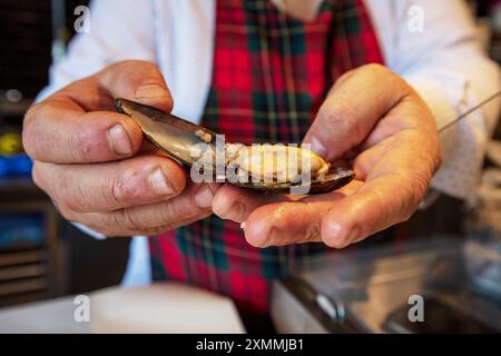 Saveurs de rue moules farcies. Moule tenant la main. Tas de mollusques noirs. Banque D'Images