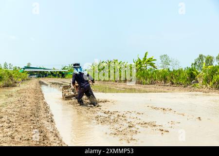 Un agriculteur exploite un laboureur dans un champ de riz inondé, préparant la terre pour la plantation. La verdure environnante et le ciel clair reflètent l'agricult rural Banque D'Images