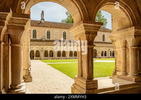 Cloîtres à l'abbaye de Fontenay, Fontenay, Bourgogne, France Banque D'Images