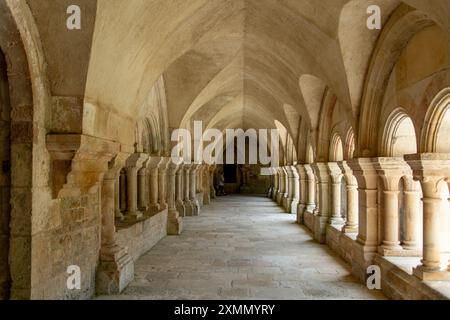 Cloîtres à l'abbaye de Fontenay, Fontenay, Bourgogne, France Banque D'Images