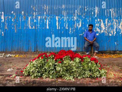 Homme bangladais vendant des roses rouges au marché aux fleurs, Division de Dhaka, Dhaka, Bangladesh Banque D'Images