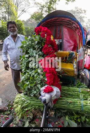 Homme bangladais chargeant des roses rouges sur un pousse-pousse au marché, Division de Dhaka, Dhaka, Bangladesh Banque D'Images