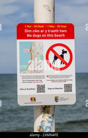 Panneau « pas de chiens sur cette plage » à Aberystwyth Seafront, West Wales, Royaume-Uni Banque D'Images
