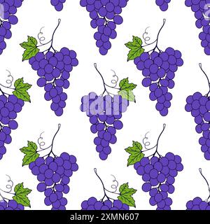 Motif sans couture de raisin sur fond blanc, dessin de doodle de contour des baies de raisin et des feuilles. Illustration vectorielle Illustration de Vecteur