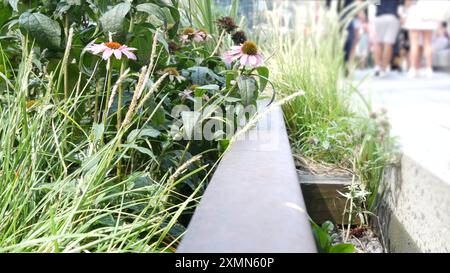 New York City High Line voie verte élevée, Manhattan Midtown, États-Unis. Les gens dans un parc public urbain. Promenade dans la verdure du jardin. Vie de rue américaine, Chelsea Highline près de Hudson Yards. Voies ferrées. Banque D'Images