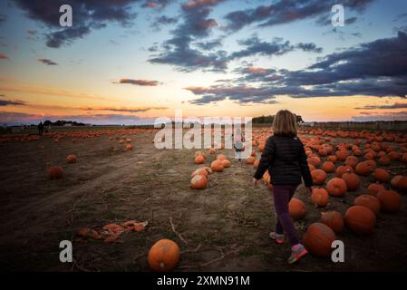 Jeunes sœurs marchant à travers le coucher du soleil des champs de citrouilles Banque D'Images