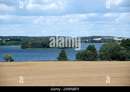 Paradiesgartenblick am Paradiesgartenweg, Radweg und Wanderweg um den Krakower See, Blick zum See mit Insel, Landkreis Rostock, Mecklenburg-Vorpommern, 28.07.2024 Krakower See in Mecklenburg-Vorpommern *** Paradise Garden View on the Paradiesgartenweg, piste cyclable et sentier de randonnée autour du lac de Cracovie, vue sur le lac avec île, Rostock district, Mecklenburg-Pomerania, Mecklenburg-Ouest 28 07 2024 Lac de Cracovie en Mecklembourg-Poméranie occidentale 20240728-DSC 3399 Banque D'Images