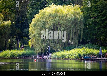 Krakower Seenlandschaft, große Weide am Ufer in Krakow am See, Landkreis Rostock, Mecklembourg-Poméranie occidentale, 28.07.2024, Steg, boote, Sonnenschirme See in Mecklenburg-Vorpommern *** paysage lacustre de Cracovie, grand pâturage sur le rivage à Cracovie am See, district de Rostock, Mecklenburg-Vorpommern, 28 07 2024, jetée, bateaux, parasols lac dans Mecklenburg-Vorpommern 20240728-DSC 3412 Banque D'Images