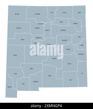 Comtés du Nouveau-Mexique, carte politique grise avec frontières et noms de comté. État dans la région sud-ouest des États-Unis. Banque D'Images