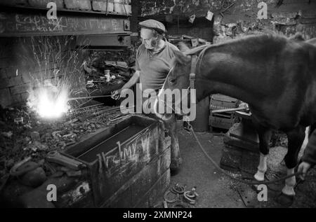 Après plus de 50 ans de tir les chevaux de police d'Avon et Somerset , le farrier de force Monty Ball (64) est sur le point de remettre l'entreprise à son fils Andrew . Monty , la quatrième génération de sa famille à chasser des chevaux de police à leur Winford Forge près de Bristol , a monté plus de 31 000 chaussures qui sont faites par lui sur la forge qui a été dans sa famille de forgeron depuis 10 générations. Il n'a pas l'intention d'arrêter de tirer les chevaux ... il suffit de laisser la cinquième génération courir le côté des affaires. 7 octobre 1991 photo de Roger Bamber Banque D'Images