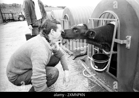 Ferme laitière à la prison de Dartmoor 22 mars 1991 photo de Roger Bamber Banque D'Images