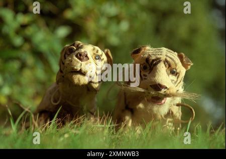 Tigres jouet victorien avec les clés pour les enrouler afin qu'ils marchent et grognent mis en vente aux enchères à la maison de vente aux enchères Sothebys Billingshurst dans le Sussex . Les vieux jouets en peluche battus et fanés sont vivement recherchés par les collectionneurs 21 janvier 1997 photo de Roger Bamber Banque D'Images