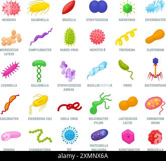 Bactéries et virus. Diverses icônes de bactéries, microbes et virus. Éléments de recherche en biologie et microbiologie, ensemble vecteur néotérique infectieux Illustration de Vecteur