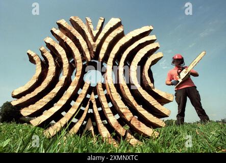 Le sculpteur Walter Bailey utilise une tronçonneuse pour transformer un arbre tué par la maladie hollandaise de l'orme en sculpture 13 août 1997 photo de Roger Bamber Banque D'Images