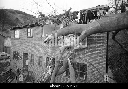 Arbre sur HouseUn arbre qui s'est écrasé à travers le toit d'une maison lors de la récente tempête 9 décembre 1993 Banque D'Images