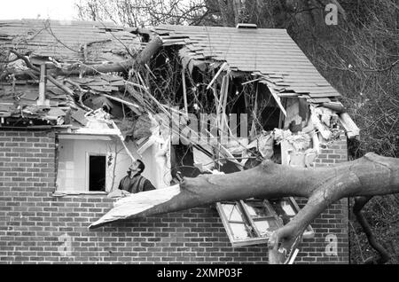 Arbre sur la maison un homme regardant par sa fenêtre à l'arbre qui a brisé son toit le 9 décembre 1993 Banque D'Images