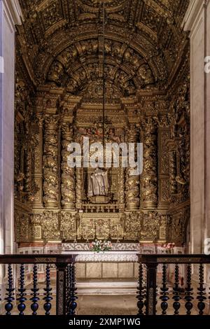 Retable baroque dans la chapelle à l'intérieur de l'ancienne église du collège des Jésuites au XVIIe siècle. Aujourd'hui, la nouvelle cathédrale (se Nova) de Coimbra. Banque D'Images